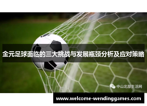 金元足球面临的三大挑战与发展瓶颈分析及应对策略