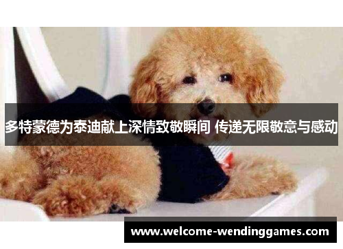 多特蒙德为泰迪献上深情致敬瞬间 传递无限敬意与感动
