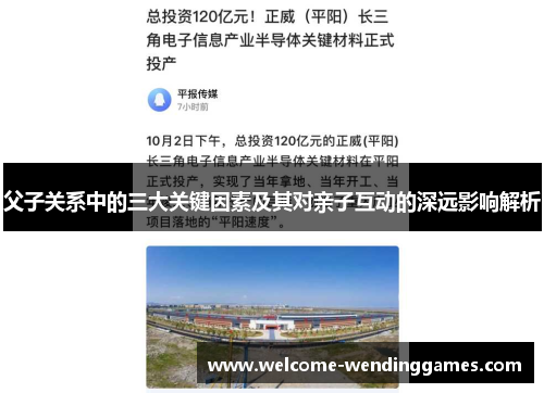 父子关系中的三大关键因素及其对亲子互动的深远影响解析