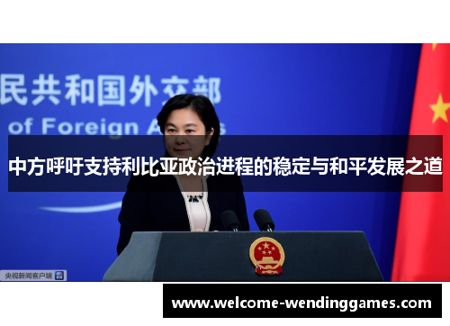 中方呼吁支持利比亚政治进程的稳定与和平发展之道