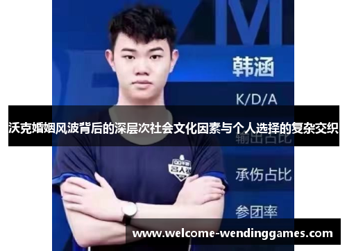 沃克婚姻风波背后的深层次社会文化因素与个人选择的复杂交织