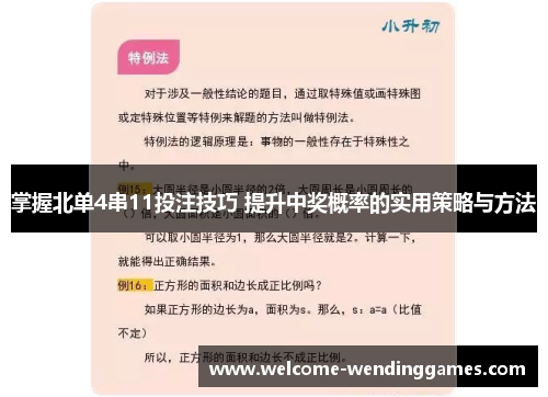掌握北单4串11投注技巧 提升中奖概率的实用策略与方法