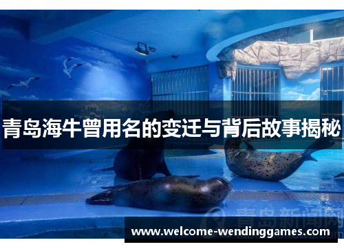 青岛海牛曾用名的变迁与背后故事揭秘
