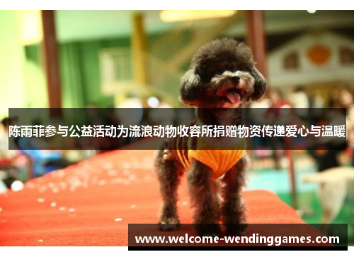 陈雨菲参与公益活动为流浪动物收容所捐赠物资传递爱心与温暖 陈雨菲参与公益活动为流浪动物收容所捐赠物资传递爱心与温暖