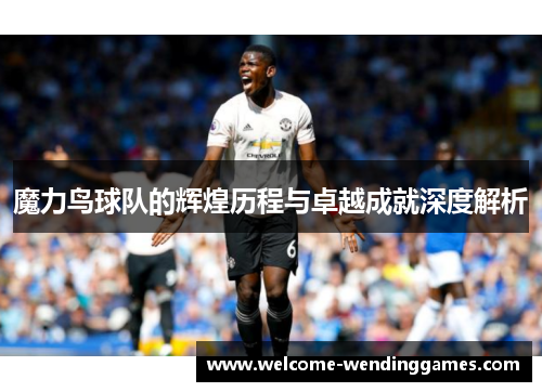 魔力鸟球队的辉煌历程与卓越成就深度解析
