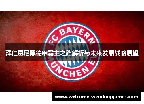 拜仁慕尼黑德甲霸主之路解析与未来发展战略展望