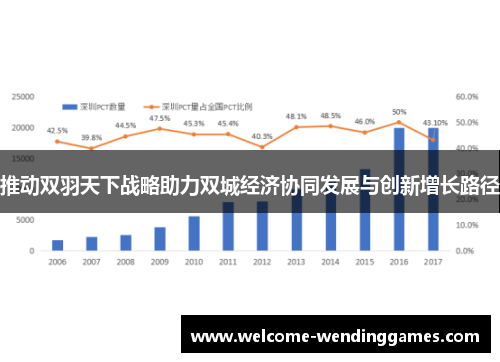 推动双羽天下战略助力双城经济协同发展与创新增长路径