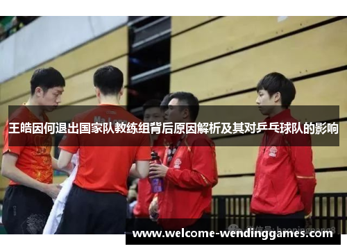 王皓因何退出国家队教练组背后原因解析及其对乒乓球队的影响