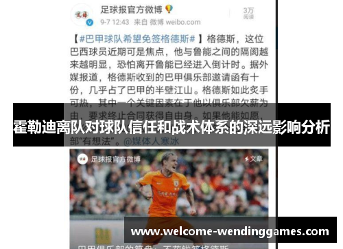 霍勒迪离队对球队信任和战术体系的深远影响分析